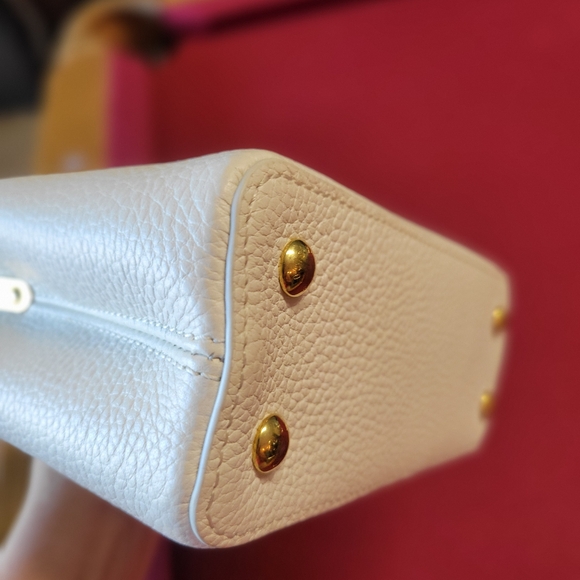 Louis Vuitton Mini Capucine with Exotic Touch - Picture 6 of 10